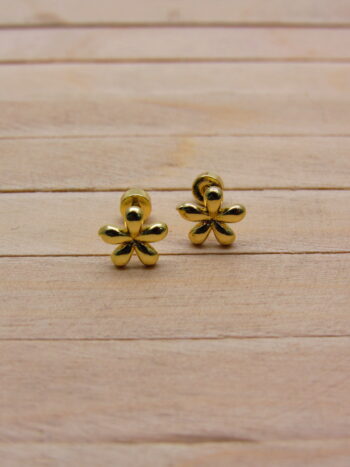 aretes SKU50019